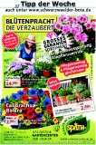 Garten-Center Sp&auml;th GmbH Villingen